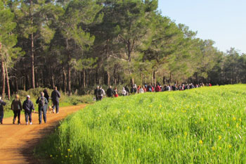 walking north cyprus